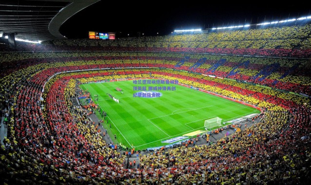 开云体育app下载-哈兰德双响炮助曼城登顶英超 挪威神锋再创纪录剑指金靴