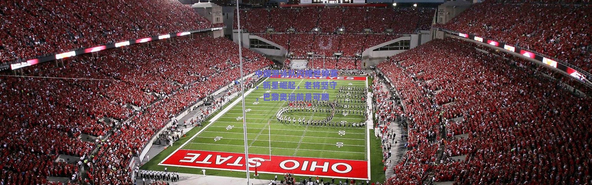 开云-中国游泳队闪耀世锦赛，新星崛起，老将坚守，巴黎奥运前景可期